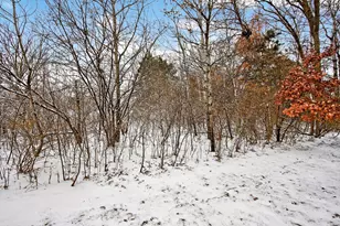 6947 Archer Trl, Inver Grove Heights, MN 55077 - Photo 40