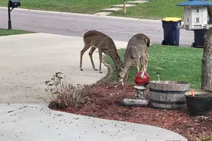 13529 Gossamer Way, Apple Valley, MN 55124 - Photo 6