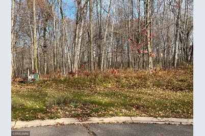 Lot15 Wilderness Hills Lane, Luck, WI 54853 - Photo 2