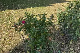 315 11th St N, Breckenridge, MN 56520 - Photo 6