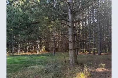 Xxx Emerald Court NE, Carlos, MN 56319 - Photo 4