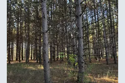 Xxx Emerald Court NE, Carlos, MN 56319 - Photo 6