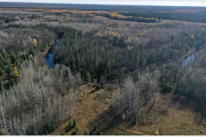 Tbd Township Rd. 98, Loman, MN 56654 - Photo 1