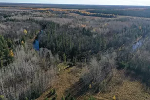 Tbd Township Rd 98, Loman, MN 56654 - Photo 1