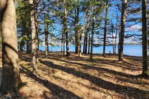 13098 63rd Ave NW, Cass Lake, MN 56633 - Photo 24