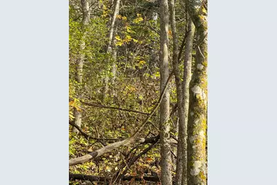 Tbd County 26, Houston, MN 55943 - Photo 32