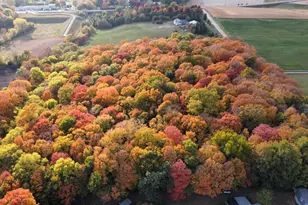 11275 66th St, Waconia, MN 55387 - Photo 6