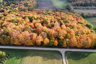 11275 66th St, Waconia, MN 55387 - Photo 12