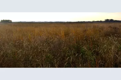 Tbd 121st Street, Lake Wilson, MN 56151 - Photo 4