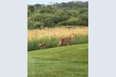 13852 Geneva Avenue N, Hugo, MN 55038 - Photo 42