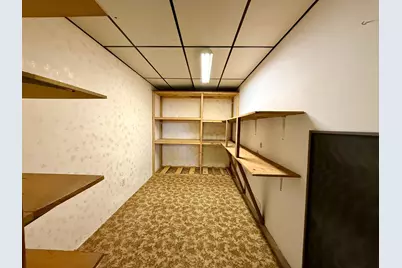 1318 W Chestnut Avenue, Olivia, MN 56277 - Photo 60