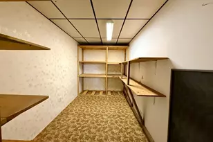 1318 W Chestnut Ave, Olivia, MN 56277 - Photo 60