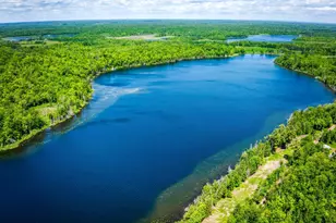 0000 Deervine Trail NE, Tenstrike, MN 56683 - Photo 1