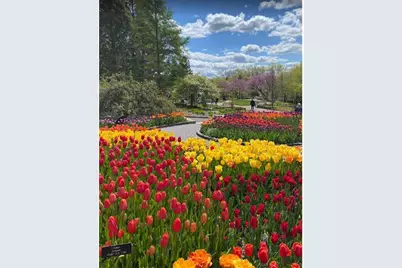 3744 Brookside Drive, Chaska, MN 55318 - Photo 46