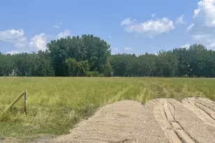 10324 State Hwy 9 S, Barnesville, MN 56514 - Photo 1