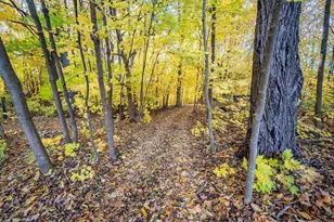 W7429 510th Ave, Ellsworth, WI 54011 - Photo 48