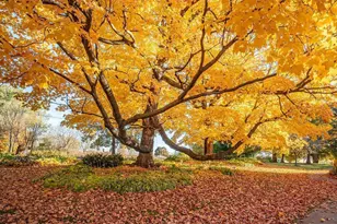 W7429 510th Ave, Ellsworth, WI 54011 - Photo 40