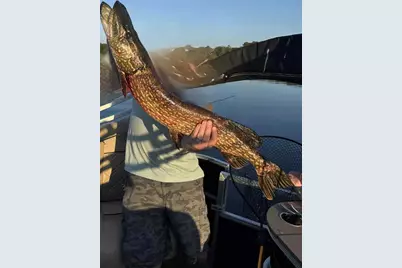 27686 Little Whitefish Road, Garrison, MN 56450 - Photo 42