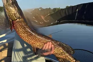 27686 Little Whitefish Rd, Garrison, MN 56450 - Photo 42