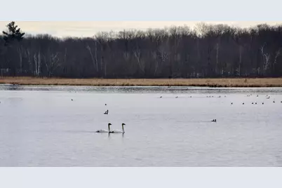 1415 223rd Avenue, Ogilvie, MN 56358 - Photo 50