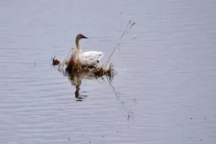 1415 223rd Ave, Ogilvie, MN 56358 - Photo 42