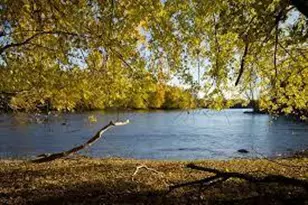 14426 Kingsview Ln N, Dayton, MN 55327 - Photo 74