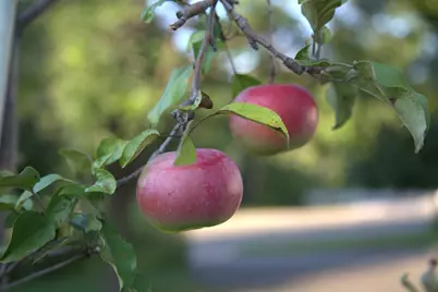 1136 County Road C2 W, Roseville, MN 55113 - Photo 30