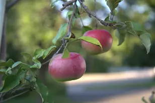 1136 County Rd C2 W, Roseville, MN 55113 - Photo 30