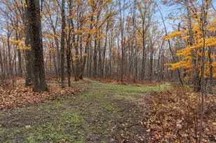 3918 44th St SW, Pine River, MN 56474 - Photo 36