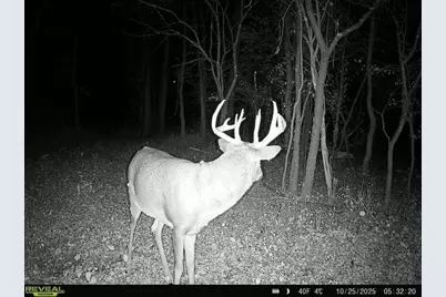 3918 44th Street SW, Walden Twp, MN 56474 - Photo 38