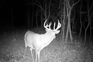 3918 44th St SW, Walden Twp, MN 56474 - Photo 38