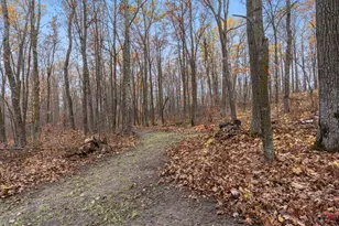 3918 44th St SW, Walden Twp, MN 56474 - Photo 44