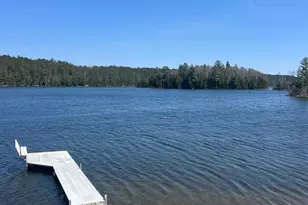 21482 Five Island Lake Rd, Cook, MN 55723 - Photo 4