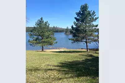 21482 Five Island Lake Road, Cook, MN 55723 - Photo 6
