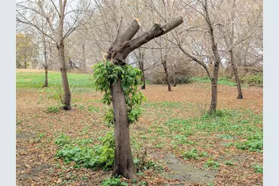 22598 700th Avenue, Albert Lea, MN 56007 - Photo 52