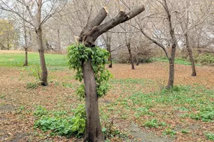 22598 700th Ave, Albert Lea, MN 56007 - Photo 52