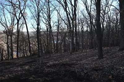 Tbd Overland Drive, Browerville, MN 56438 - Photo 8