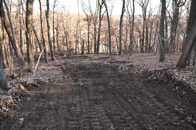 Tbd Overland Drive, Browerville, MN 56438 - Photo 2