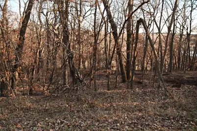 Tbd Overland Drive, Browerville, MN 56438 - Photo 6