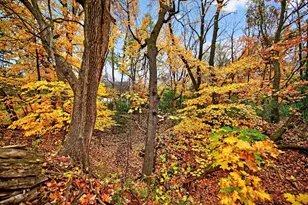 915 N Brown Rd, Orono, MN 55356 - Photo 18