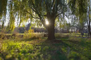 11486 Hazel Rd, Saint Cloud, MN 56301 - Photo 76