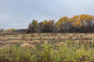 Tbd (Lot 2) Brunswick Rd, Stanchfield, MN 55080 - Photo 1