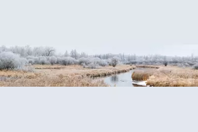 315Xx Leaf River Road Tract B, Ottertail, MN 56571 - Photo 2