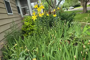 8214 32nd Pl N, Crystal, MN 55427 - Photo 32