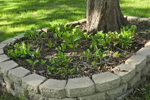 8214 32nd Pl N, Crystal, MN 55427 - Photo 36