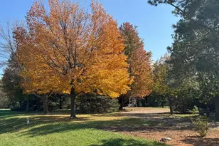 29633 390th St, Sharon Twp, MN 56058 - Photo 44