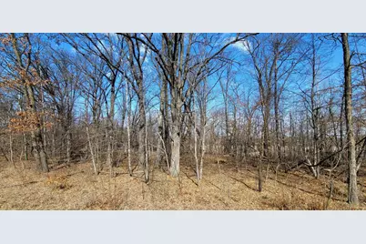 514Xx Leaf River Road Tract C, Ottertail, MN 56571 - Photo 1