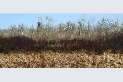 514Xx Leaf River Road Tract C, Ottertail, MN 56571 - Photo 14