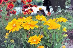 1626 Melvina Ln SW, Alexandria, MN 56308 - Photo 40