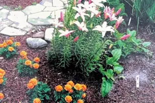 1626 Melvina Ln SW, Alexandria, MN 56308 - Photo 36